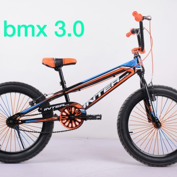 Gambar Sepeda BMX Berbagai Model dan Modifikasi - Sakerapedia