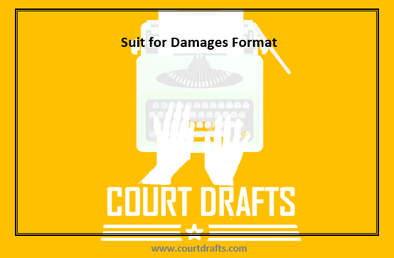 Suit for Damages Format