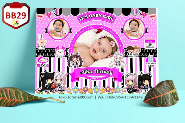 Biodata Bayi Costume Boy Girl Kode BB279 | Kartun Lucu