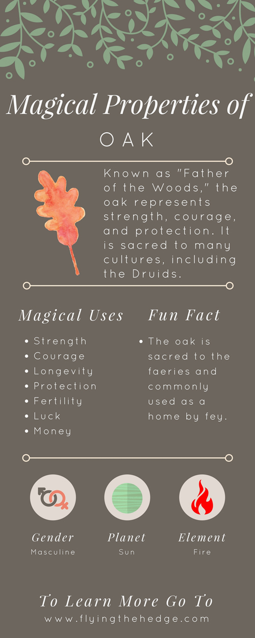 Magical Properties of Oak