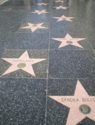 2305118-LA--Walk-of-Fame--Hollywood-Boulevard-1