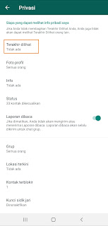 Cara Menyembunyikan Status Online di WhatsApp