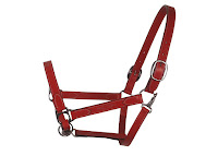 Horse Leather Halters