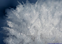 Cristaux de glace