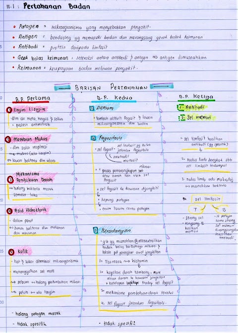 biologi bab 2 tingkatan 4