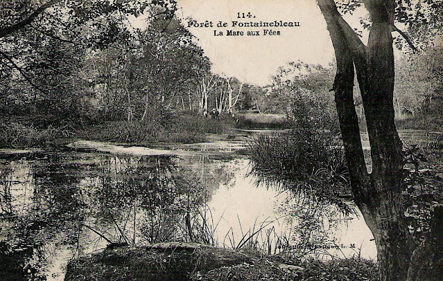 "La Mare aux Fées" Forêt de Fontainebleau