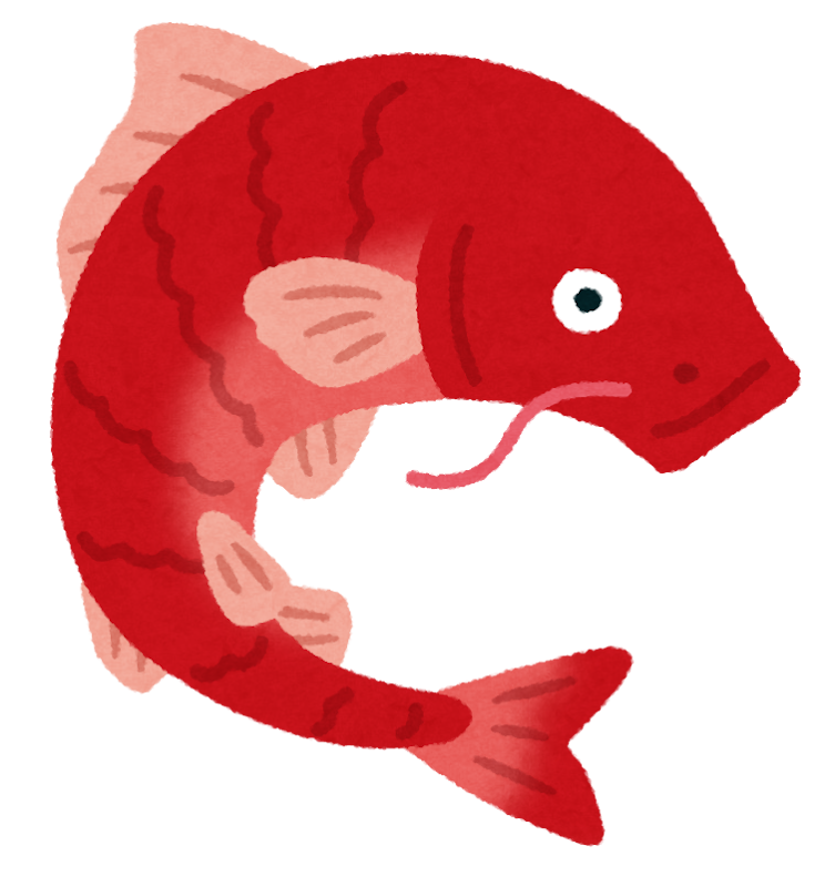 赤い鯉のイラスト かわいいフリー素材集 いらすとや