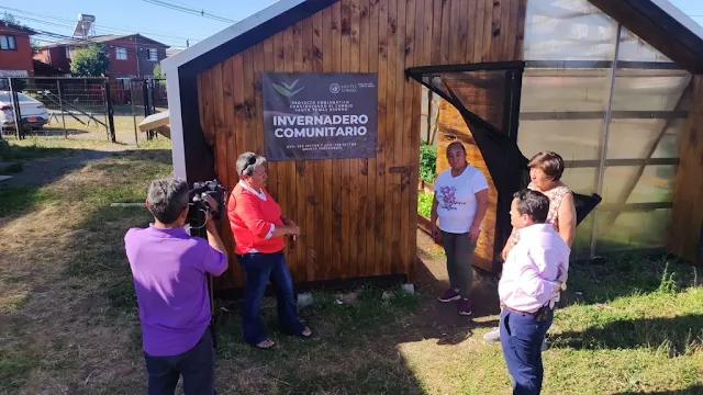Proyecto Huertos Comunitarios de Santo Tomás Osorno: Comenzaron a cosechar sus vegetales para autoconsumo