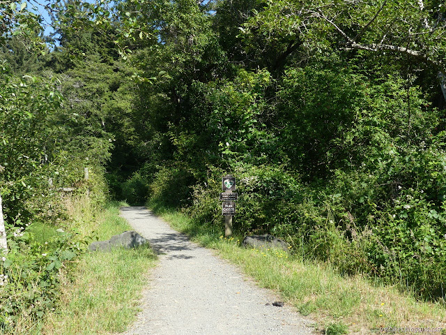 Arcata Ridge Trail and crest