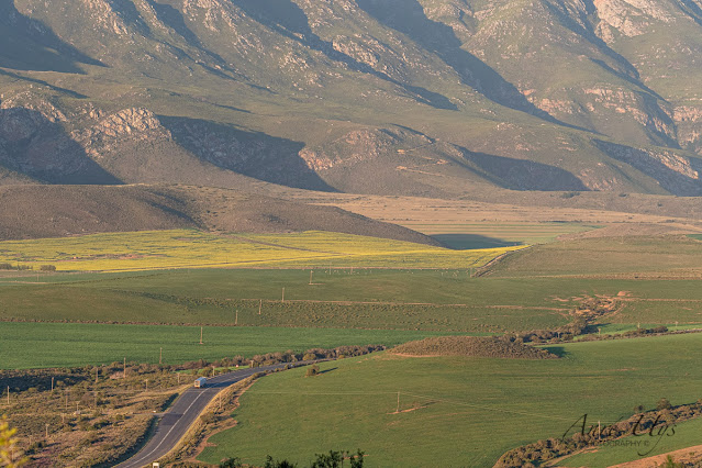 Landscape at the foot of the Langeberg mountains