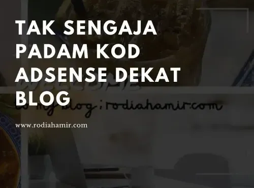 tak-sengaja-padam-kod-adsense