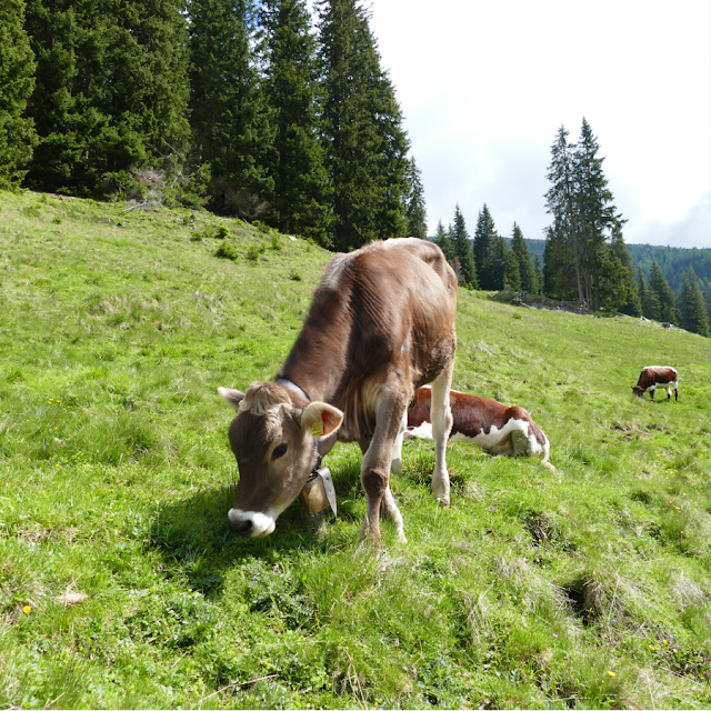 val pusteria cosa vedere estate