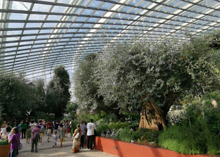 Gardens by the Bay o Jardines de la Bahía. Flower Dome o Cúpula de las Flores. Singapur o Singapore.