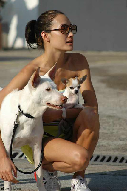 Maggie Q like dogs