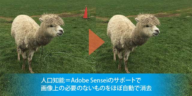 adobe senseiによる修正