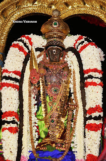 Aamavasai,Ippasi,Purappadu,Thiruvallikeni,Sri Parthasarathy Perumal,Manavala Maamunigal,Varavaramuni, Temple, 2017, Video, Divya Prabhandam,Utsavam,