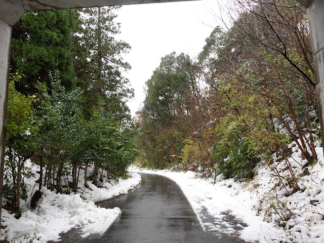 鳥取県西伯郡南部町荻名 農道