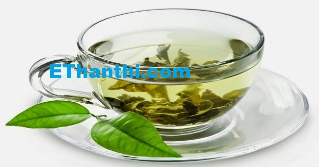 எல்லோரும் கிரீன் டீ குடிக்கலாமா? #Green Tea