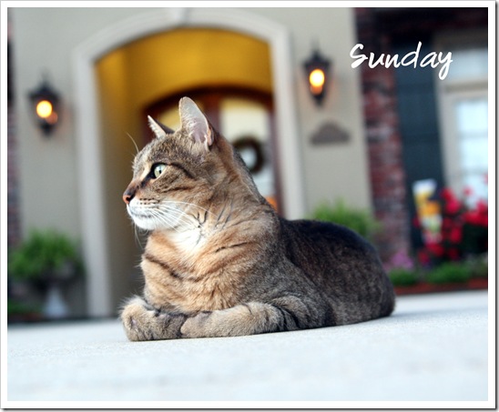 Sunday