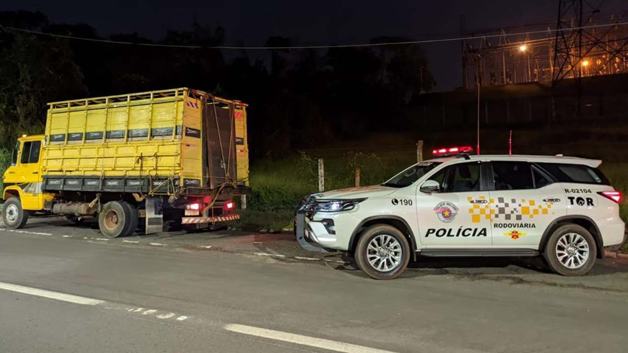 Dupla é presa em flagrante por furto de gado em Guarantã