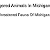 List Of Threatened Fauna Of Michigan - Endangered Animals In Michigan