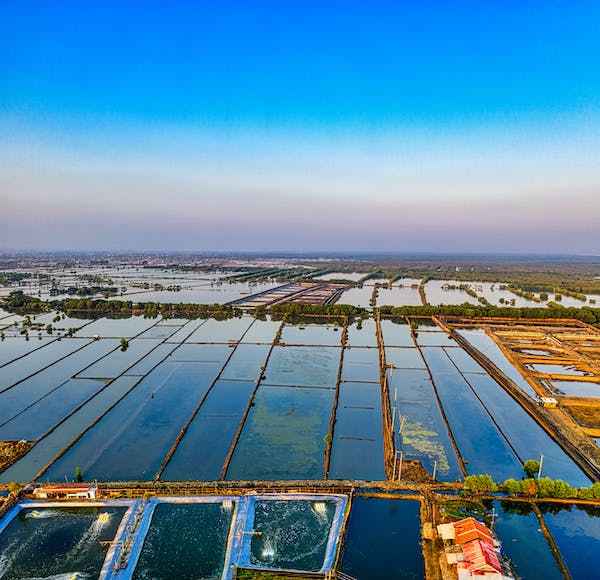 Fish farming business idea in pakistan