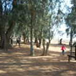 View album