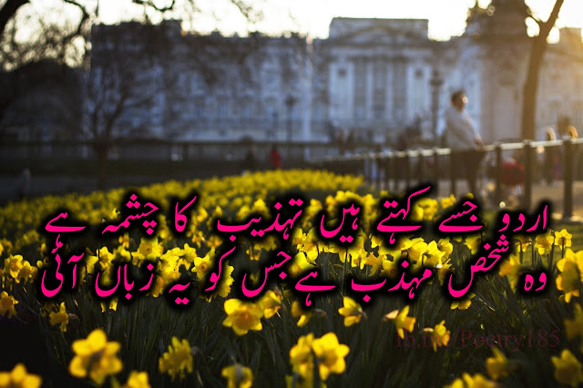 Urdu Poetry Images