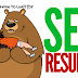 How Long Do SEO Results Take?