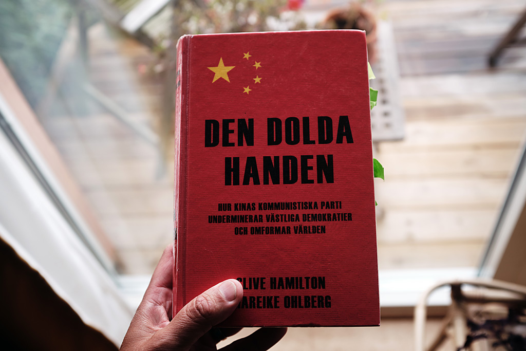 den dolda handen, bok