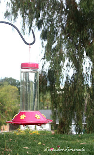 Make your own Hummingbird Nectar!  Simple DIY recipe