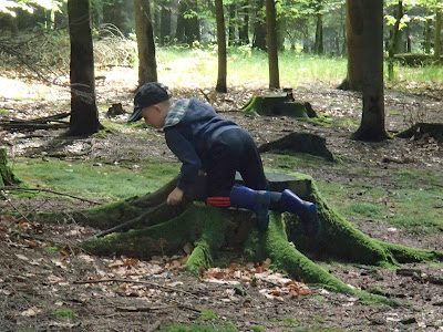 Grzyby 2017, grzyby w maju, poszukiwania pierwszych borowików, Las Bronaczowa