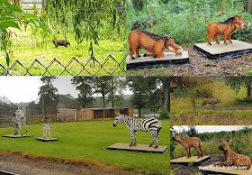 Knowsley Safari #Ultimatebricksafari wolf zebra warthog hyena prairie dog