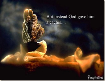 image002
