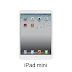 iPad Mini disappointing, low resolution display and mono speaker