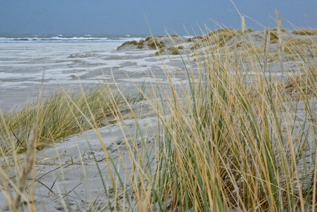 Schiermonnikoog, lauwersoog, Lytje Pôle, Ambrosijn Suites, Waddeneilanden, De Schiere Monnik, de Walviskaak, klooster Klaarkamp, de Langestreek, Willemshof Schiermonnikoog, de Zuidertoren, de Wassermann Bunker, Vredenhof Schiermonnikoog, de Buitentoren, hotel van der werff, Nationaal Park, Nederlandse landgeiten, strandjutten, de marlijn, wadden, wadtodo,