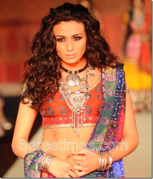 Model displaying beatiful Ritu Kumar embroidery short sleeves blouse with