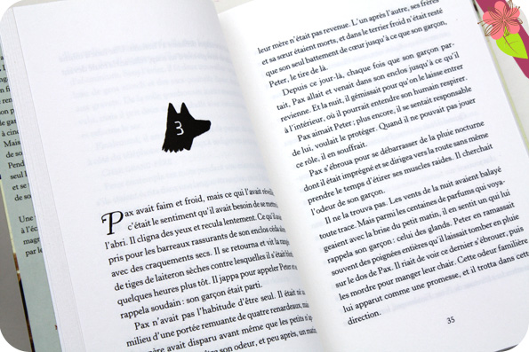 Pax et le petit soldat de Sara Pennypacker, illustrations de Jon Klassen, Gallimard Jeunesse