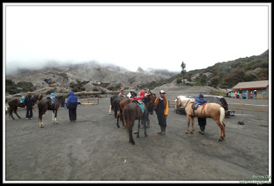 Bromo Tengger Semeru National Park