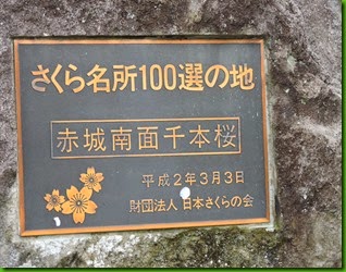 DSCN6200