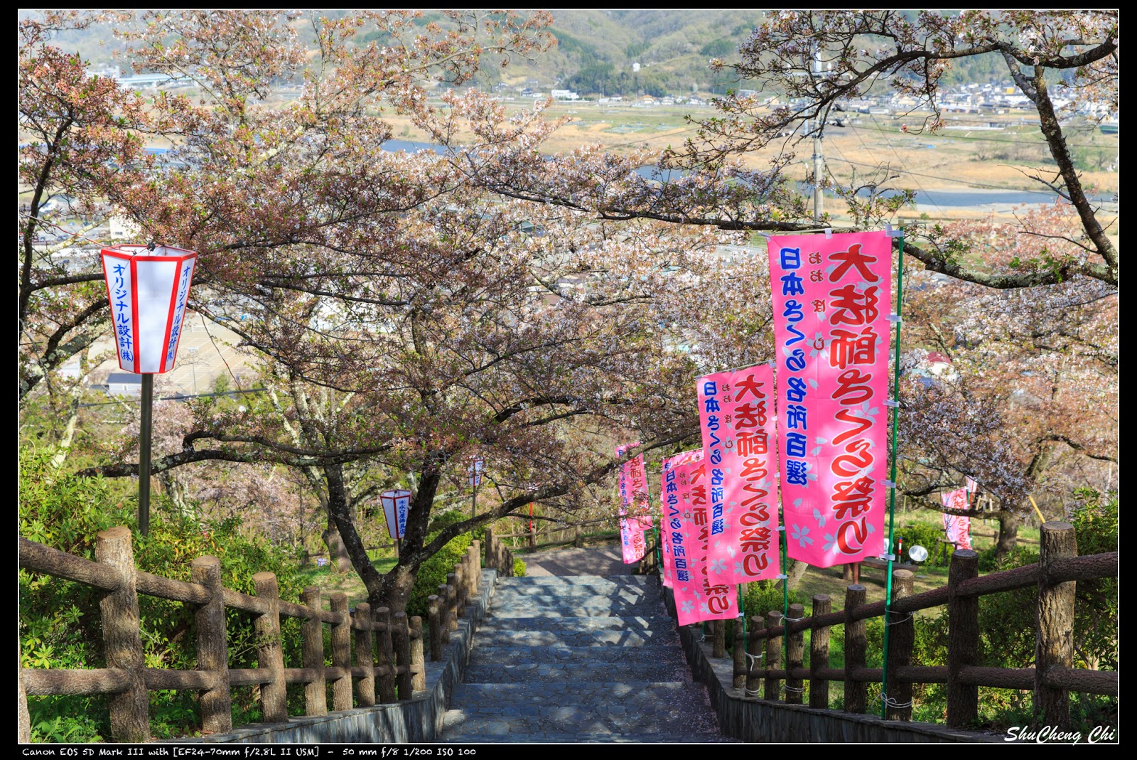 特愛日本瘋旅行 18 日本 本州 景點 大法師公園 櫻百選