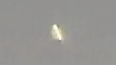 White UFO object could be a organism type of creature.