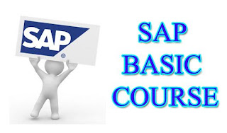 SAP basic course for beginners and users (SAP PRESS)