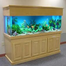 jual Aquarium murah