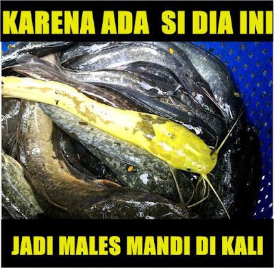 10 Meme Kocak 'Karena Dia' Ini Menghibur Disaat Tanggal Tua