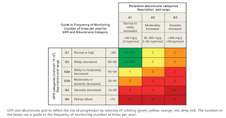 Guide to Frequency of Monitoring by GFR and Albuminuria Category