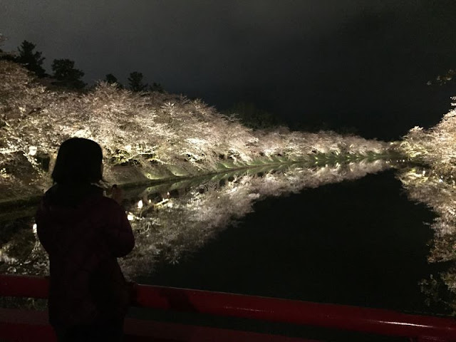 弘前城の夜桜