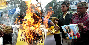 Big Brother protesters burning effigies