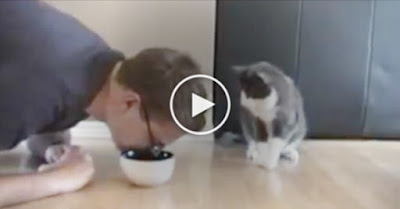 HE’S PRETENDING LIKE HE’S EATING SOME CAT FOOD…. NOW WATCH HOW THE CAT RESPONDS, HAHAHA!!