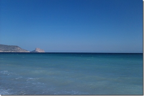 CISNE EN ALTEA 179